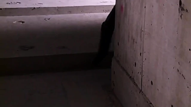 Sexy Big-Titted Asian Cowgirl Sucks Stiff Cock Before Getting Boned Hardly