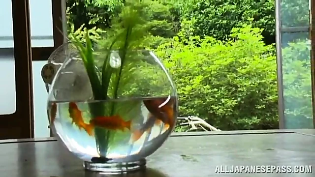 Hot Japanese Milf Enjoys Her Man's Passionate Lovemaking Skills