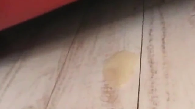 Pregnant Japanese Woman Shows Off Her Hairy Pussy For Pleasure