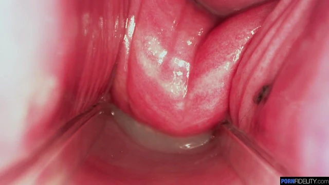 Foxy Rebel Rhyder Gives Hot Close-Up Blowjob Before Pussy Fuck