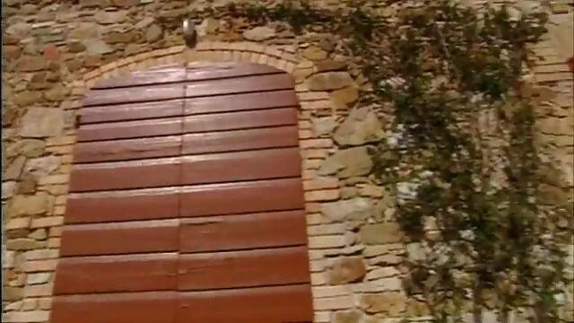 Sensual Brunette Babe Delivers Slow Nighttime Blowjob Blissfully