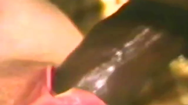 Chick Loves Diverse Cocks in Hot Retro Gangbang Extravaganza