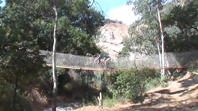 Crazy Chick Gags on Hard Cock Amidst Park Bridge Passion