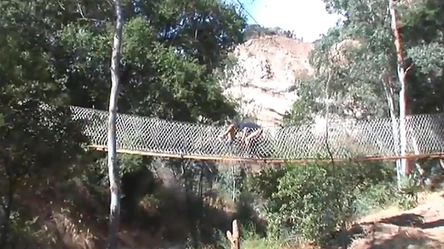 Crazy Chick Gags on Hard Cock Amidst Park Bridge Passion