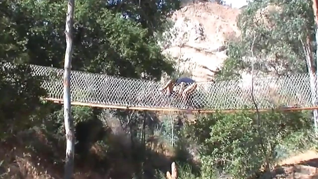 Crazy Chick Gags on Hard Cock Amidst Park Bridge Passion