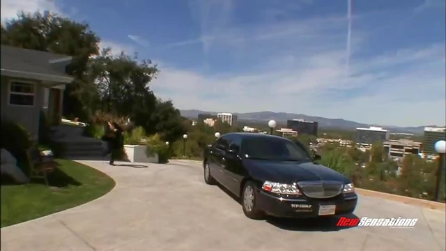 Adventurous Wife Enjoys Secretly Fucking Other Men During Work Hours