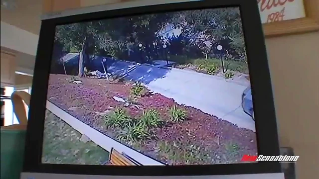 Adventurous Wife Enjoys Secretly Fucking Other Men During Work Hours