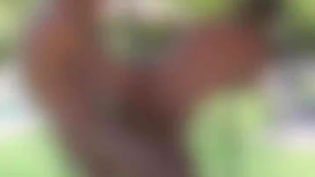 Intense Ballsucking Leads To Rough Hardcore Fucking Delight