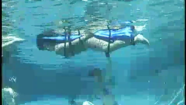 Seductive Audrey Drowns DragonLily, Takes Over Her Asian Pussy Playfully