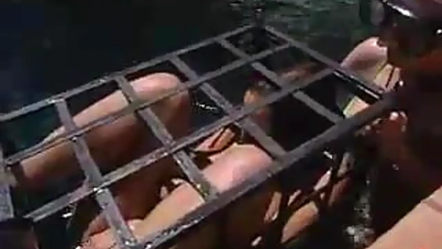 Sizzling Duo Audrey & Venus Get Tied Up Tight Outdoors for Garden Orgasms