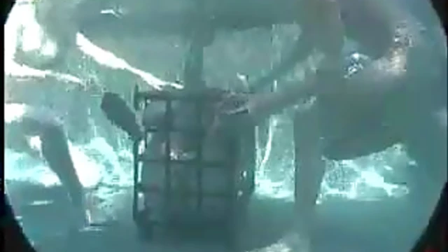 Sizzling Duo Audrey & Venus Get Tied Up Tight Outdoors for Garden Orgasms