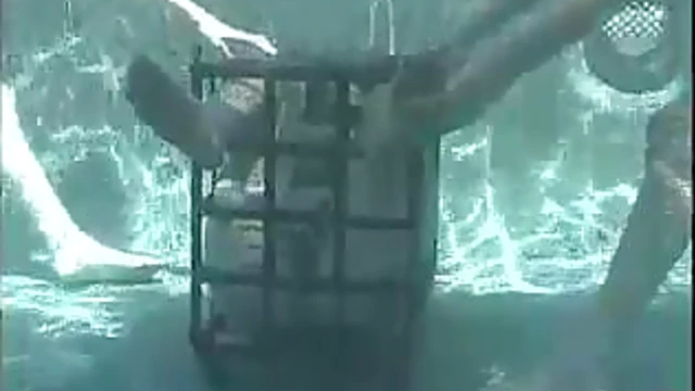 Sizzling Duo Audrey & Venus Get Tied Up Tight Outdoors for Garden Orgasms