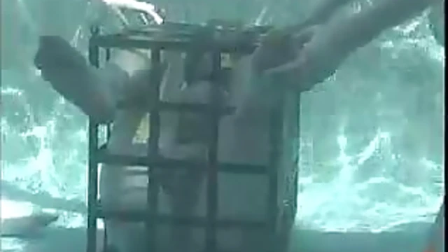 Sizzling Duo Audrey & Venus Get Tied Up Tight Outdoors for Garden Orgasms