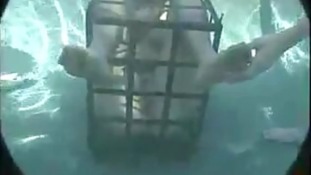 Sizzling Duo Audrey & Venus Get Tied Up Tight Outdoors for Garden Orgasms