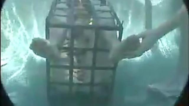 Sizzling Duo Audrey & Venus Get Tied Up Tight Outdoors for Garden Orgasms