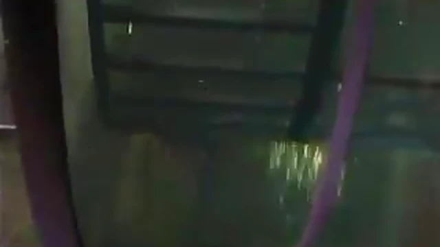 Cute Girl Gets Pussy Toyed Before Diving Into Glass Box for Naughty Fun