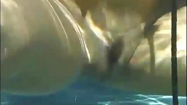 Karma's Brutal Outdoor Torment Turns Her Horny Brunette On Big Time