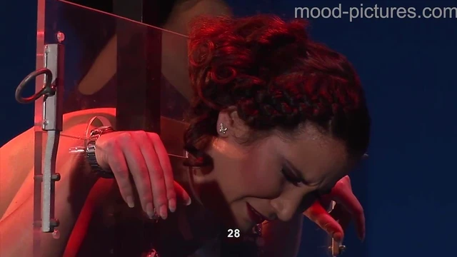 Submissive Brunette Takes Punishment from Dominating Mistress's Whip