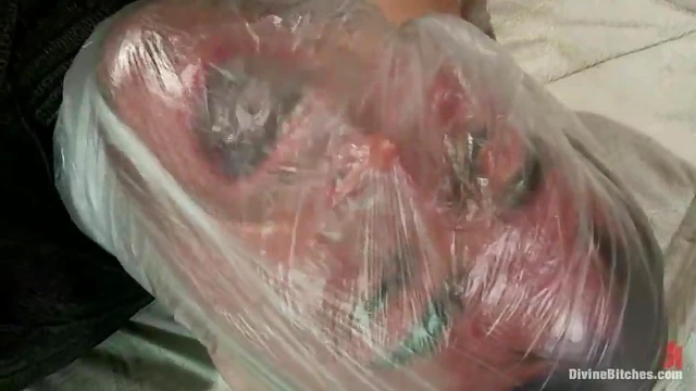 Sexy Aiden Starr Uses Clothespins & Toys in Hardcore Bondage Action Video