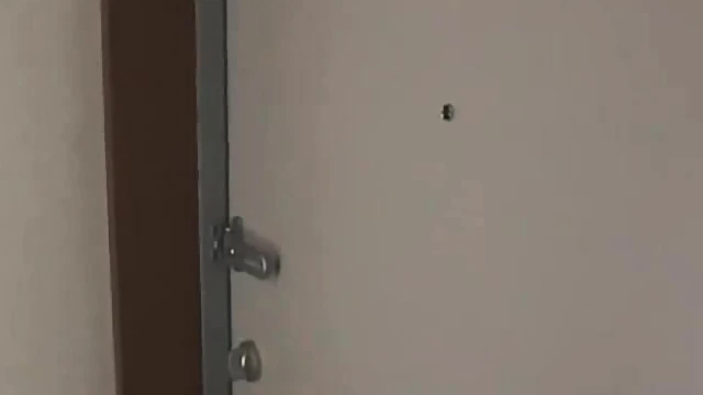 Passionate Akiho Yoshizawa Gets Wildly Fucked By Kinky Lovers