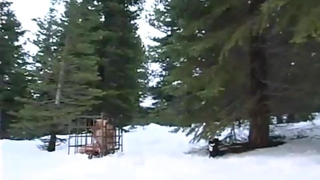 Ariel & Princess Enjoy Outdoor BDSM Sex Thrills Amidst Winter Chill