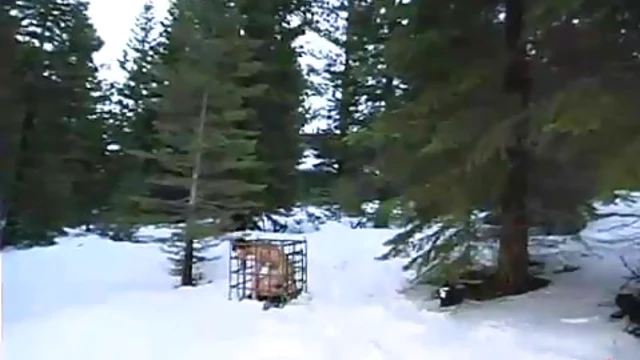 Ariel & Princess Enjoy Outdoor BDSM Sex Thrills Amidst Winter Chill