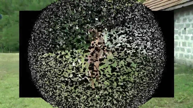 Outdoor Lezdom Education: Dominatrix Teaches Submissive Lesbian Lessons