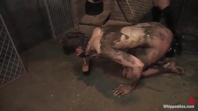 Sensuous Kristine Endures Whipping & Anal Toys After Hot Wax Treatment