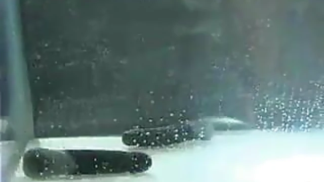 Sizzling Brunette Duo Engages in Sultry Water Bondage Scene