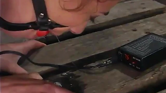 Sultry Princess Donna Binds Innocent Cutie For Rough BDSM Pleasure Game