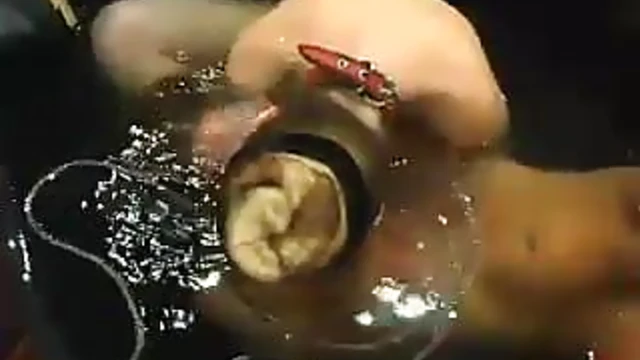 Blonde Bombshell Gets Her Wet Pussy Toyed & Fucked Hard For Pleasure