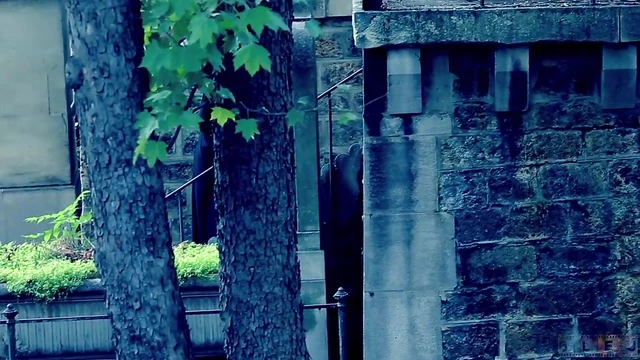 Lesbian Duo Billybutt & AJ Dive Into Kinky BDSM Action Together