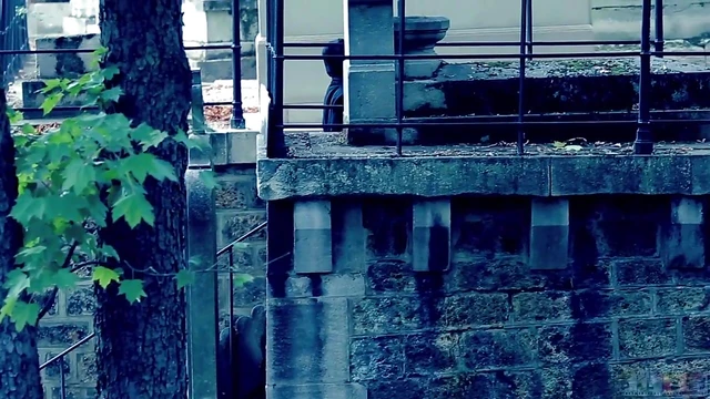 Lesbian Duo Billybutt & AJ Dive Into Kinky BDSM Action Together