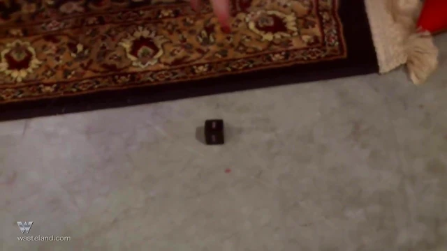 Sensual Blond Mistress Teases Slave’s Body Until She Screams Loudly