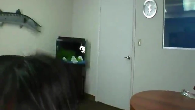 Sizzling Ebony Goddess Gives Blazing Blowjob Before Wild Multi-Position Fuckfest