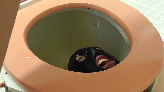 Submissive Toilet Slave Pleases Dominatrix With Oral Servitude Acts