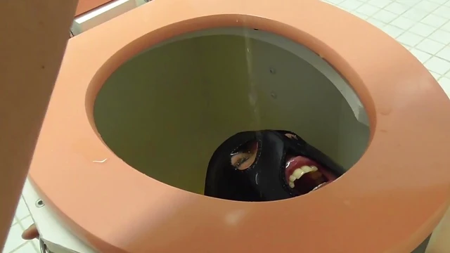 Submissive Toilet Slave Pleases Dominatrix With Oral Servitude Acts
