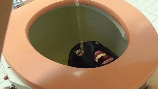 Submissive Toilet Slave Pleases Dominatrix With Oral Servitude Acts