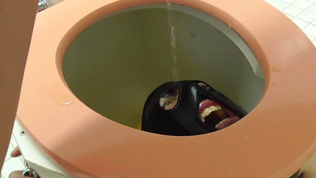 Submissive Toilet Slave Pleases Dominatrix With Oral Servitude Acts