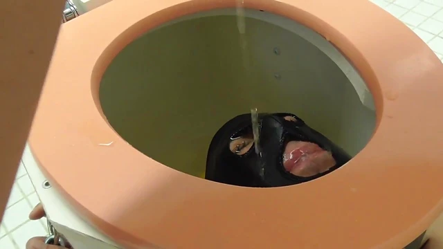 Submissive Toilet Slave Pleases Dominatrix With Oral Servitude Acts