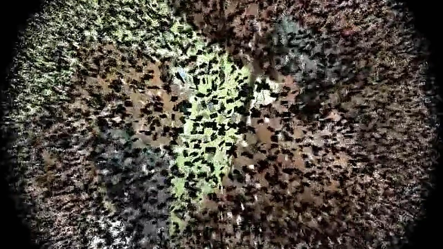 Sizzling Shoe Worship at Work Delights Submissive Office Chick