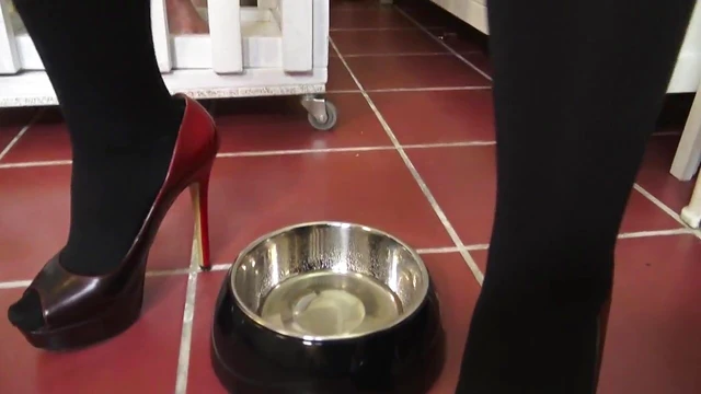 Submissive Slave Drinks Piss Craving Dominant Mistress's Control Actively