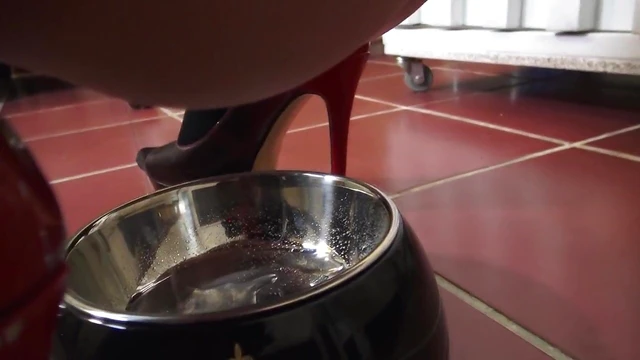 Submissive Slave Drinks Piss Craving Dominant Mistress's Control Actively