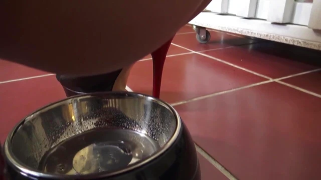 Submissive Slave Drinks Piss Craving Dominant Mistress's Control Actively