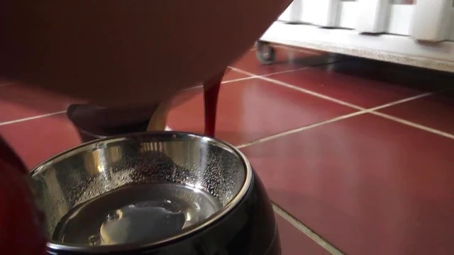 Submissive Slave Drinks Piss Craving Dominant Mistress's Control Actively