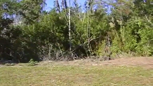 Juicy Police Officers Stop You For Lucky Night Of Steamy Action