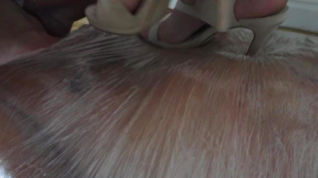 Willing Slave Gets Trampled Under Hot Mistress's High Heels