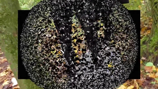 German Pro Porn Domme Tramples Submissive with Seductive Dominance Play