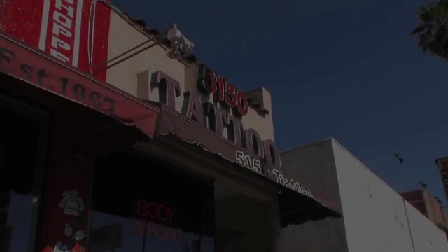 Skilled Tattoo Artist Marks Curvy Beauty's Pussy With New Ink Design