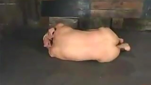 Submissive Asian Man Bound Tight For Hot Femdom Bondage Sex Acts